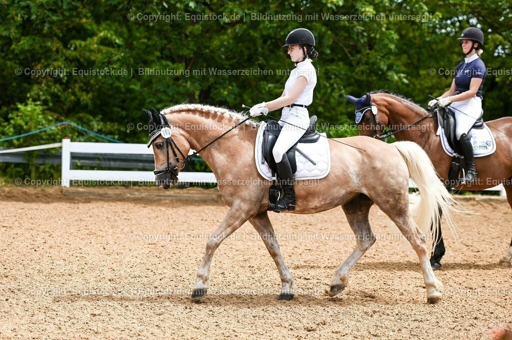 20230715_05_Dressurprüfung Kl.A++_0066 | equistock