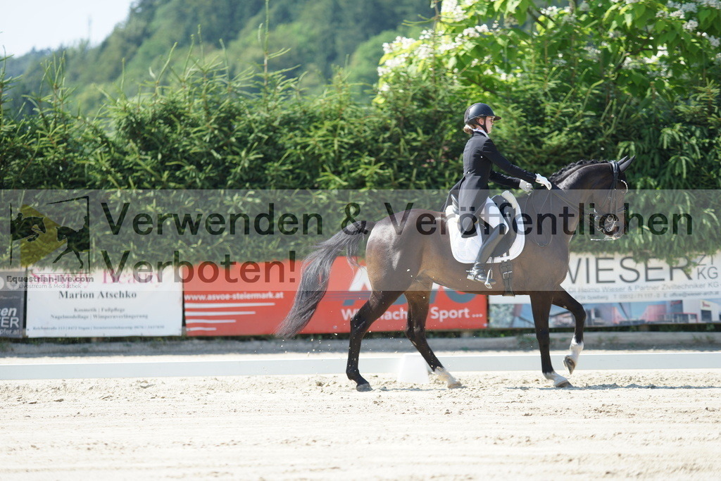 DSC02330 | equestrian-live-com