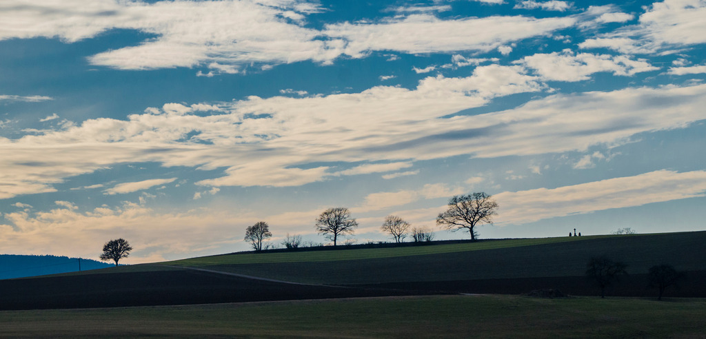 Mystische Bäume - Binningen, Deutschland | Die Mystik der Bäume unterscheidet sich je nach Jahreszeit  - Realisiert mit Pictrs.com
