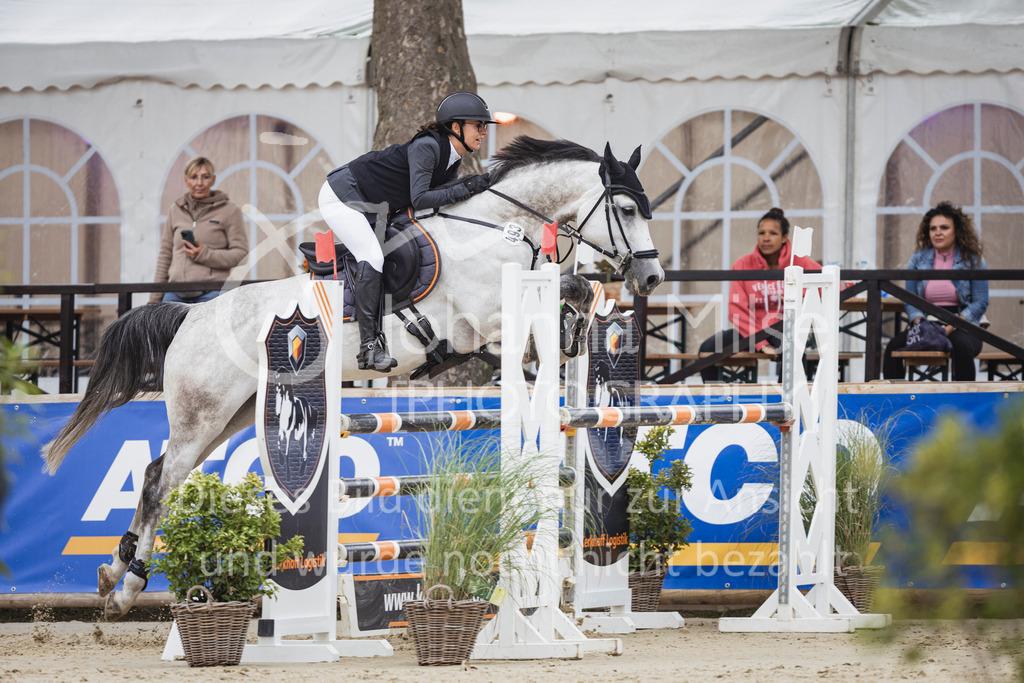 250711_BHO_L-SprmstAnf-1-246 | Deine schönsten Turniermomente als professionelle Fotos! Entdecke hochwertige Pferdesport-Fotografie im Online-Shop. Jetzt Fotos finden & bestellen!
