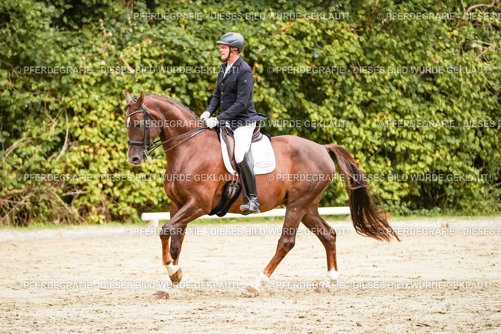 DSC03625 | Pferdegrafie