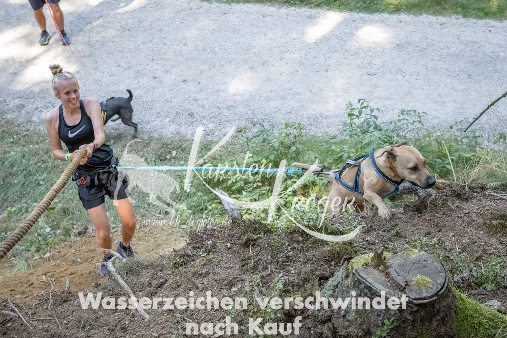 1204_ZZ93200 | kk-dogfotos