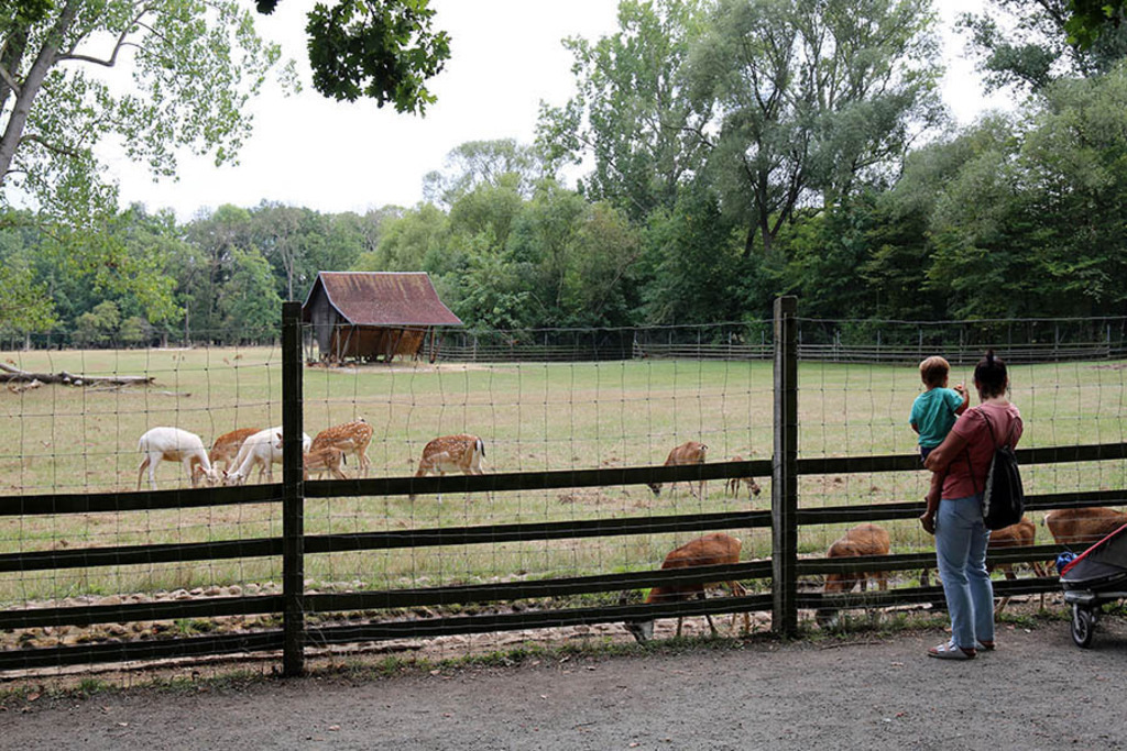 Foto: Leipzig - Wildpark Leipzig | Das Team hinter BILDLEXIKON LEIPZIG bündelt historische wie aktuelle Informationen über die Stadt Leipzig in Text und Bild auf einer Plattform und stellt diese der interessierten Öffentlichkeit zur Verfügung.