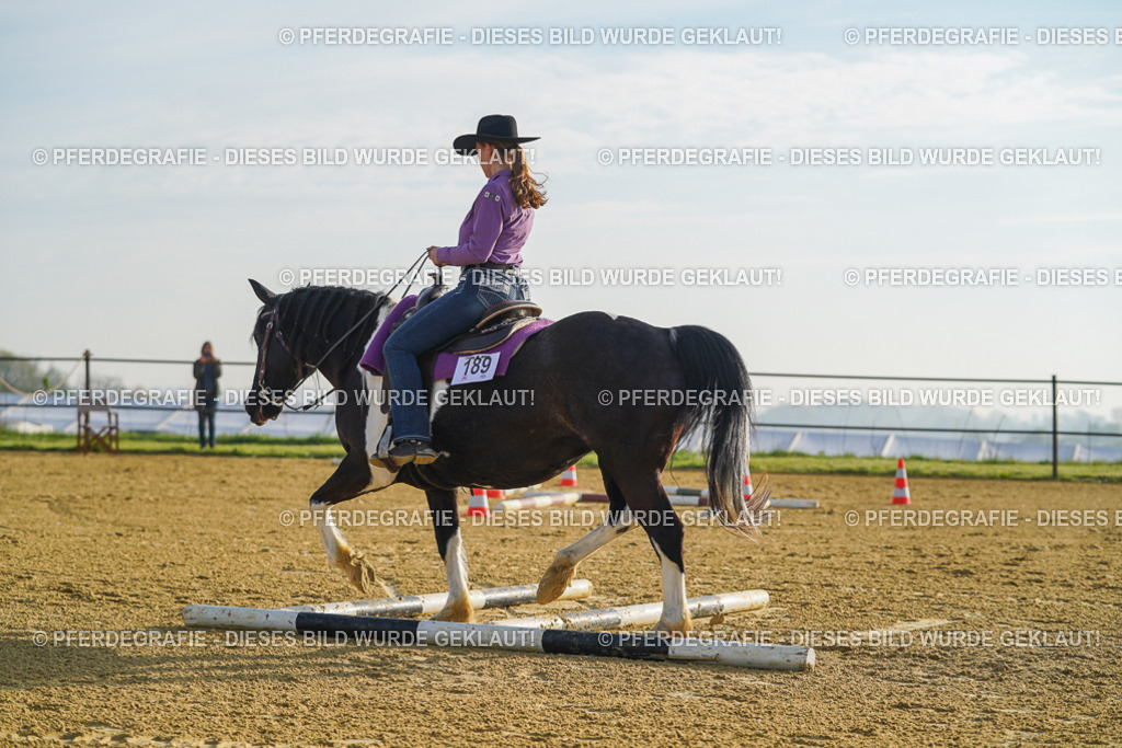 DSC00253 | Pferdegrafie