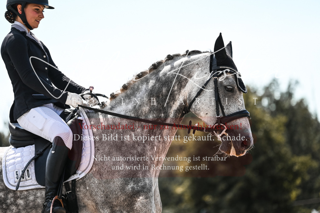 DSC_5571 | Pferde- und Turnierfotografie in Westsachsen. Pferdeportraits, Auftragszeichnungen und intuitive Kunst.