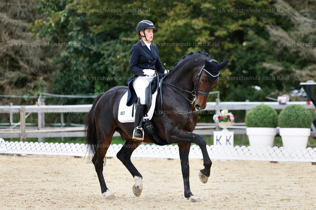 11-007-Dressur S___-StoibPH-1124 | working equitationturnier fotograf videograf stoibphotography marixx film working equitation deutschland reitsport turnierfotografie eventfotografie equestrian events