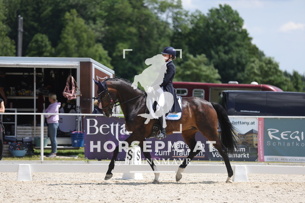 0P6A0466 | Willkommen bei Brunnmayr - Design & Fotografie – Ihrem Spezialisten für Reitturniere und Pferdeveranstaltungen in Oberösterreich, Salzburg und Bayern! Seit über 17 Jahren sind wir leidenschaftlich dabei.