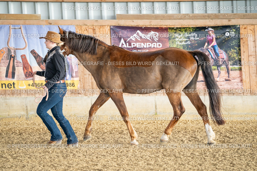 DSC07437 | Pferdegrafie