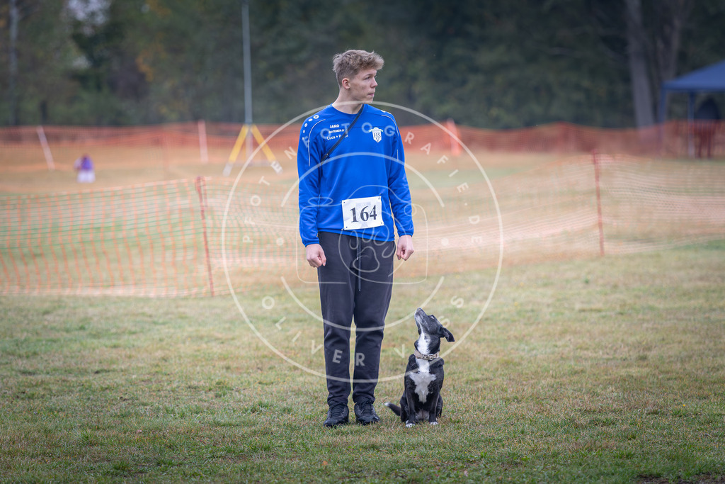 Pfotenfotografie_DV3A8886 | Hundefotografie, Tierfotograf, Pfotenfotografie, Fotoshooting Hund, Hunde Portrait, Hundesport, Hundeportraits, Heideshooting, Hunde, Sportfotograf, Hundefotograf, Turnierhundsport, THS,  - Realisiert mit Pictrs.com