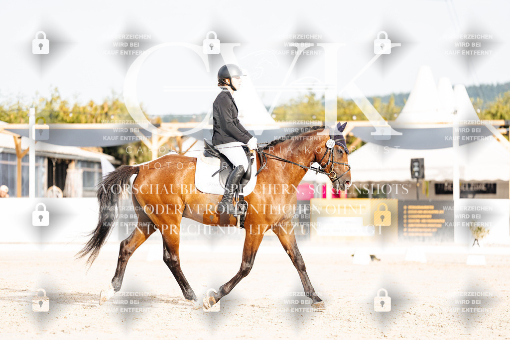 CK904042 | Turnierfotografie Pferdefotografie Trier Rheinland-Pfalz Pferdesport Reitsport Tierfotografie Sportfotografie Pferdevideo Pferdevideografie Equestrianvideography equestrianphotography  - Realisiert mit Pictrs.com