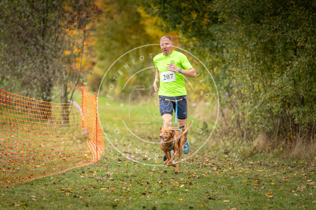 Pfotenfotografie_DV3A4029 | Hundefotografie, Tierfotograf, Pfotenfotografie, Fotoshooting Hund, Hunde Portrait, Hundesport, Hundeportraits, Heideshooting, Hunde, Sportfotograf, Hundefotograf, Turnierhundsport, THS,  - Realisiert mit Pictrs.com