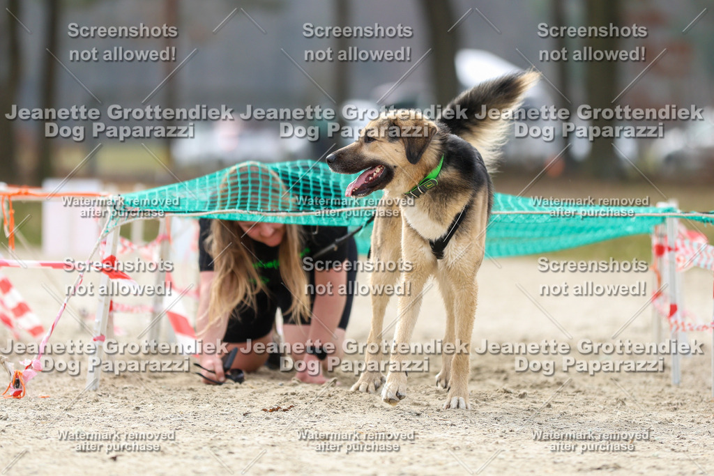 Dog Paparazzi - Strongdog North Mrz26-5779 | Dog Paparazzi Jeanette Grottendiek Fotografie & Videografie - Realisiert mit Pictrs.com
