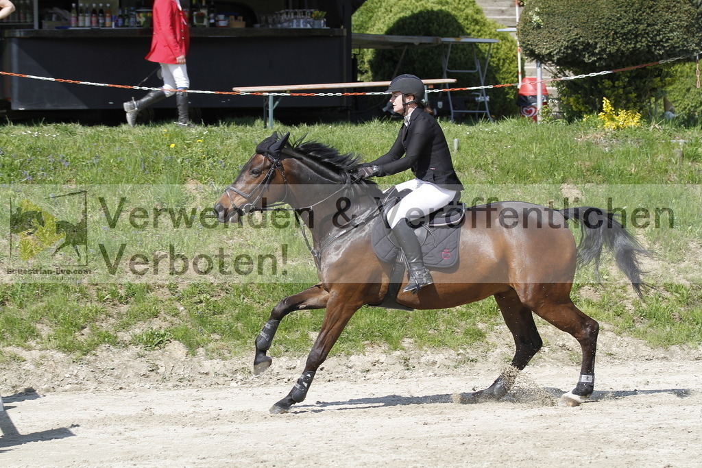 _MG_9573 | equestrian-live-com