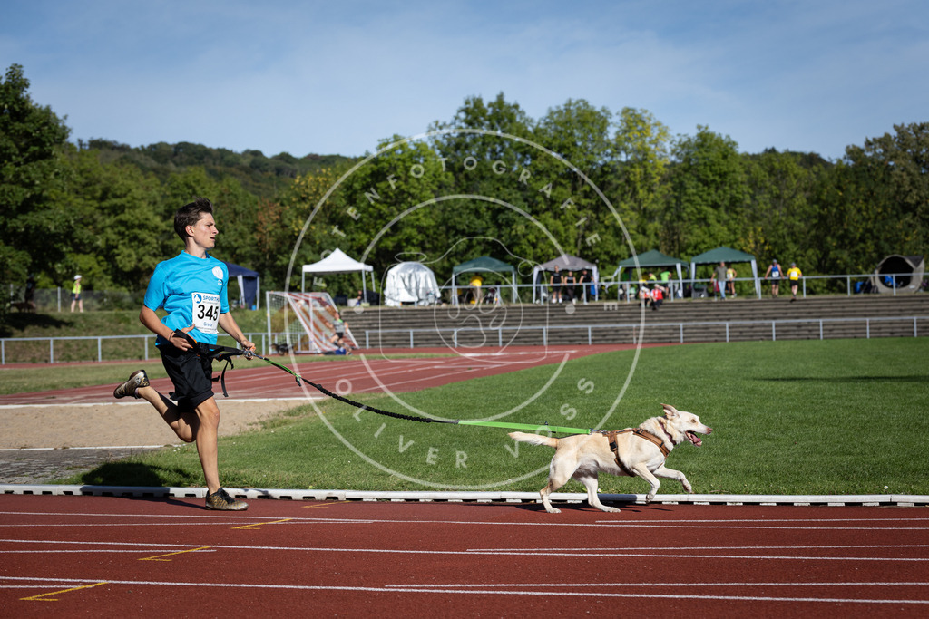 Pfotenfotografie_DV3A8513 | Hundefotografie, Tierfotograf, Pfotenfotografie, Fotoshooting Hund, Hunde Portrait, Hundesport, Hundeportraits, Heideshooting, Hunde, Sportfotograf, Hundefotograf, Turnierhundsport, THS,  - Realisiert mit Pictrs.com