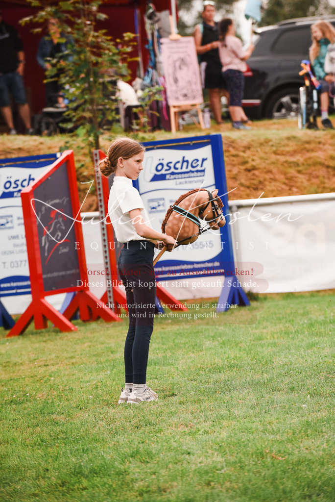 DSC_4442 | Pferde- und Turnierfotografie in Westsachsen. Pferdeportraits, Auftragszeichnungen und intuitive Kunst.