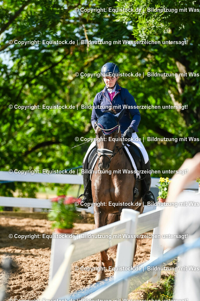 20230715_06_Dressurpferdeprfg. Kl.A_0144 | equistock