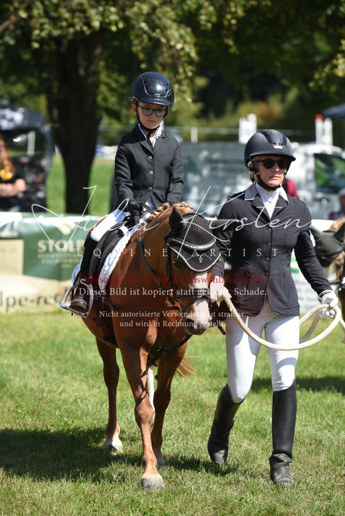 DSC_9684 | Pferde- und Turnierfotografie in Westsachsen. Pferdeportraits, Auftragszeichnungen und intuitive Kunst.