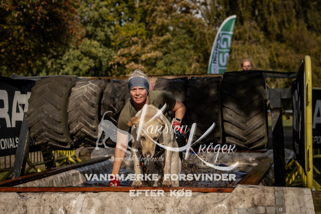 1300_ZZ91564 | kk-dogfotos