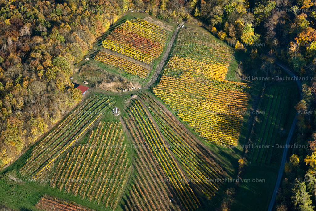 4042657 | Kirchschönbacher Mariengarten, Weinlage Mariengarten