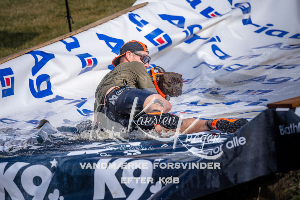 _ZZ978040748 | kk-dogfotos