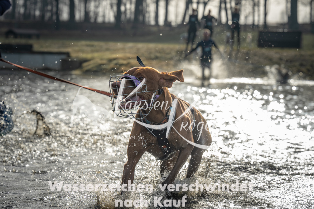 0922_ZZ91459 | kk-dogfotos