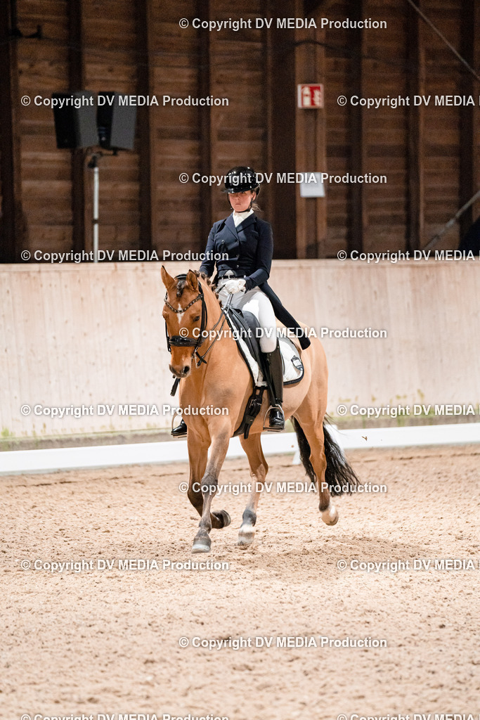 Dressur Tag 2-630 | dv-media-shop - Realisiert mit Pictrs.com