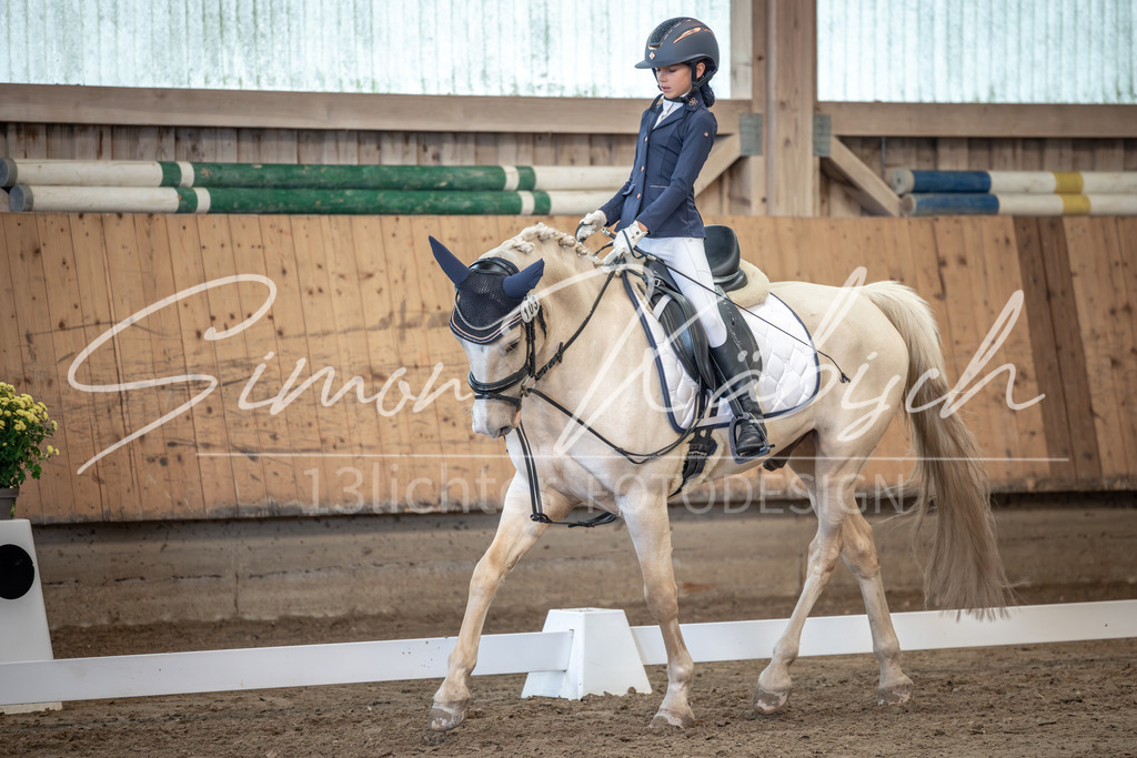 20251011-_3LI8194 | Tierfotografie Pferde, Hunde, Katzen, Haustiere.
Turnierfotografie Reitturniere, Reiten, Springreiten, Dressur in Hanau, dem Main-Kinzig-Kreis und dem Rhein-Main- Gebiet um Frankfurt