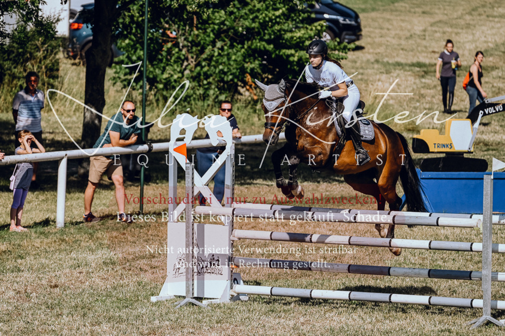 DSC_2066 | Pferde- und Turnierfotografie in Westsachsen. Pferdeportraits, Auftragszeichnungen und intuitive Kunst.