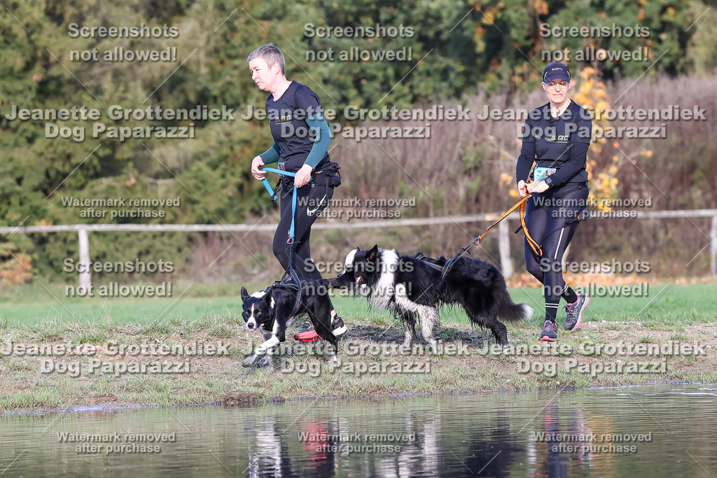 Dog Paparazzi - Strongdog 10-25-8593 | Dog Paparazzi Jeanette Grottendiek Fotografie & Videografie - Realisiert mit Pictrs.com