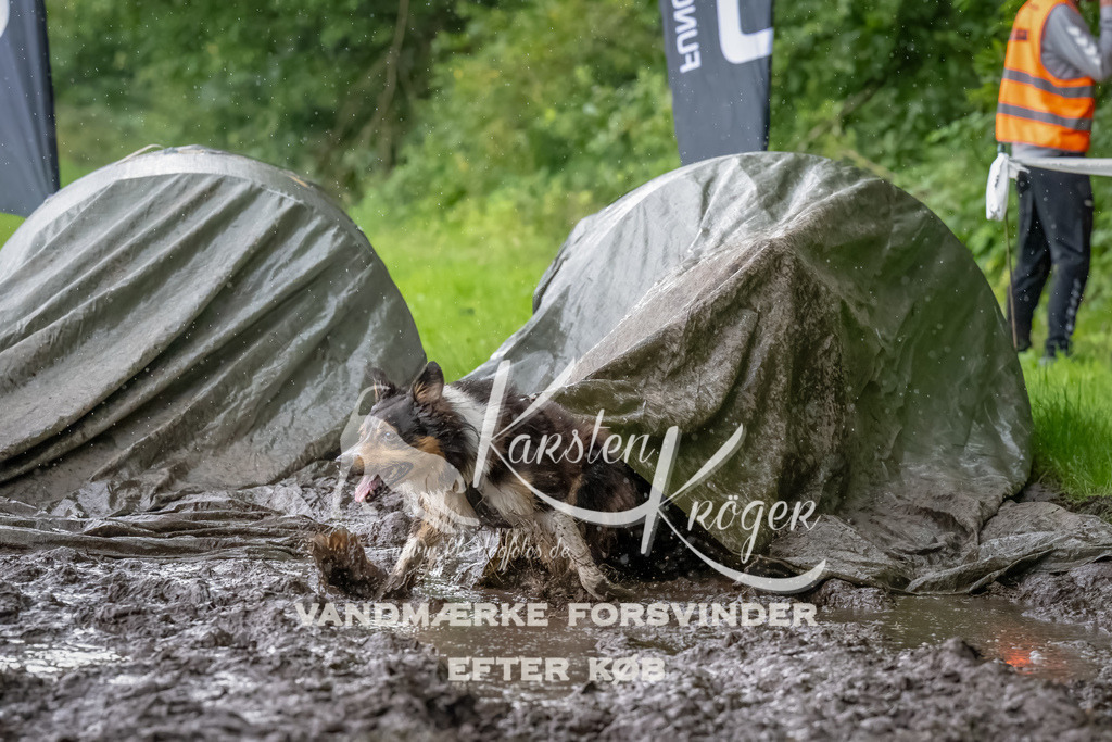 0926_ZZ91009-Bearbeitet | kk-dogfotos