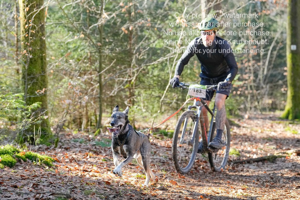 Bike_So-33 | stephaniefillaphotographie - Realisiert mit Pictrs.com