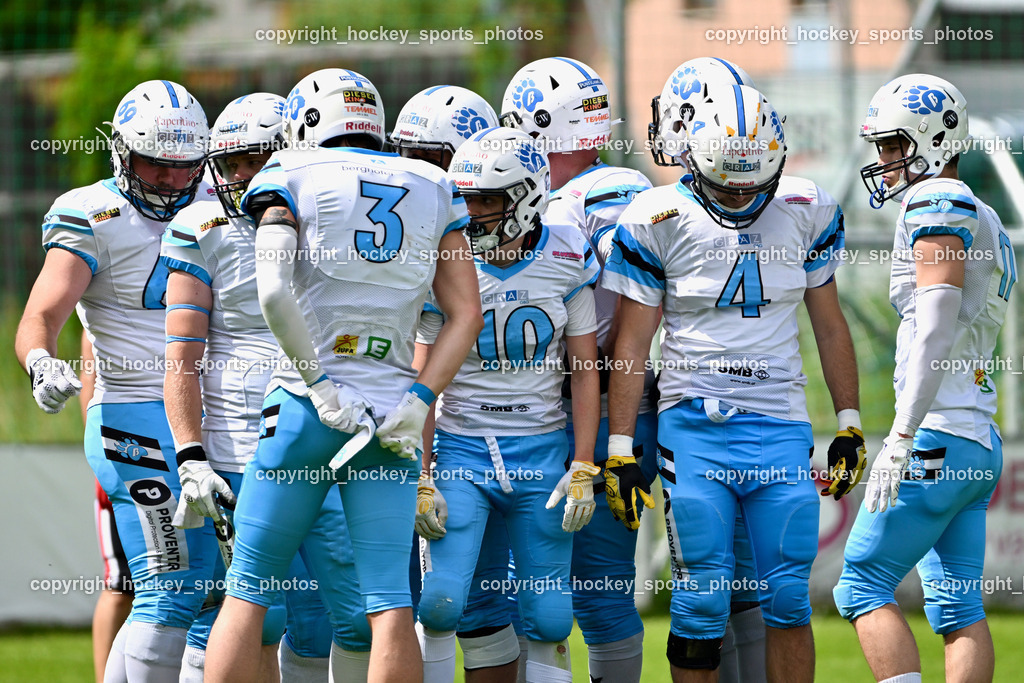 Carinthian Lions vs. Styrian Bears | Carinthian Lions vs. Styrian Bears, Carinthian Lions vs. Styrian Bears am 20.05.2024 in Klagenfurt (ASV Sportplatz), Austria, (Photo by Bernd Stefan)