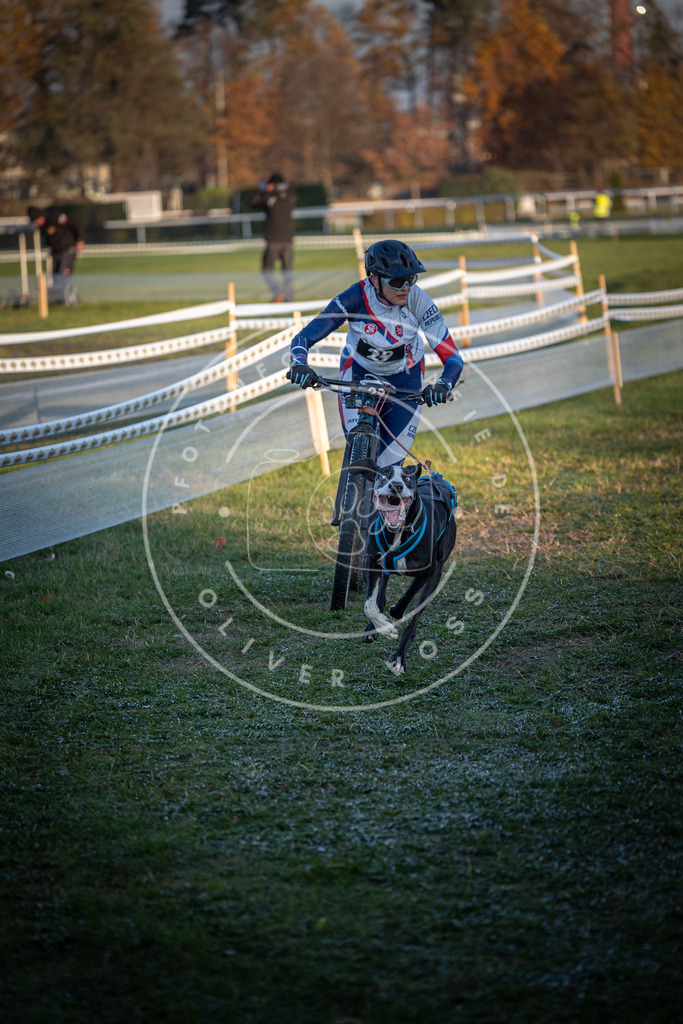 CaniXpix_0L8A2056 | Hundefotografie, Tierfotograf, Pfotenfotografie, Fotoshooting Hund, Hunde Portrait, Hundesport, Hundeportraits, Heideshooting, Hunde, Sportfotograf, Hundefotograf, Turnierhundsport, THS,  - Realisiert mit Pictrs.com
