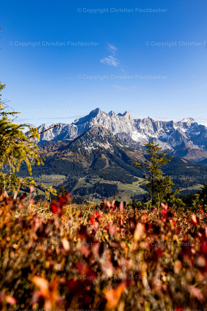 Fotos_Copyright_Chri_Fischbacher_Druck-484 | Bildershop Chri Fischbacher - Realisiert mit Pictrs.com