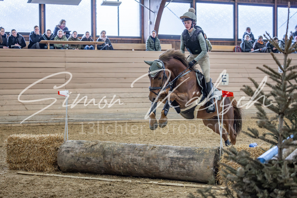 20260221-_3LI9585 | Tierfotografie Pferde, Hunde, Katzen, Haustiere.
Turnierfotografie Reitturniere, Reiten, Springreiten, Dressur in Hanau, dem Main-Kinzig-Kreis und dem Rhein-Main- Gebiet um Frankfurt