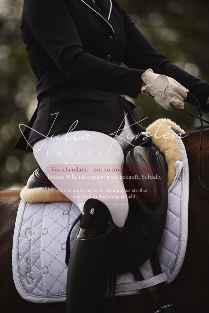DSC_3713 | Pferde- und Turnierfotografie in Westsachsen. Pferdeportraits, Auftragszeichnungen und intuitive Kunst.