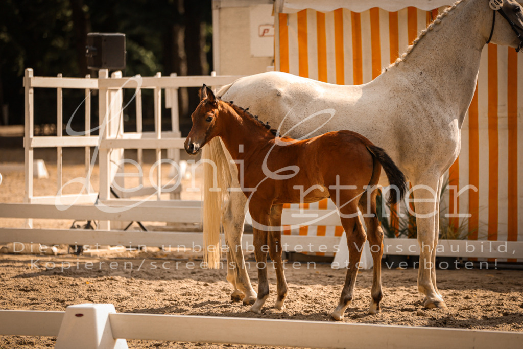 09.DoWBD00097 | Leoni Ertmer Photography - Realisiert mit Pictrs.com