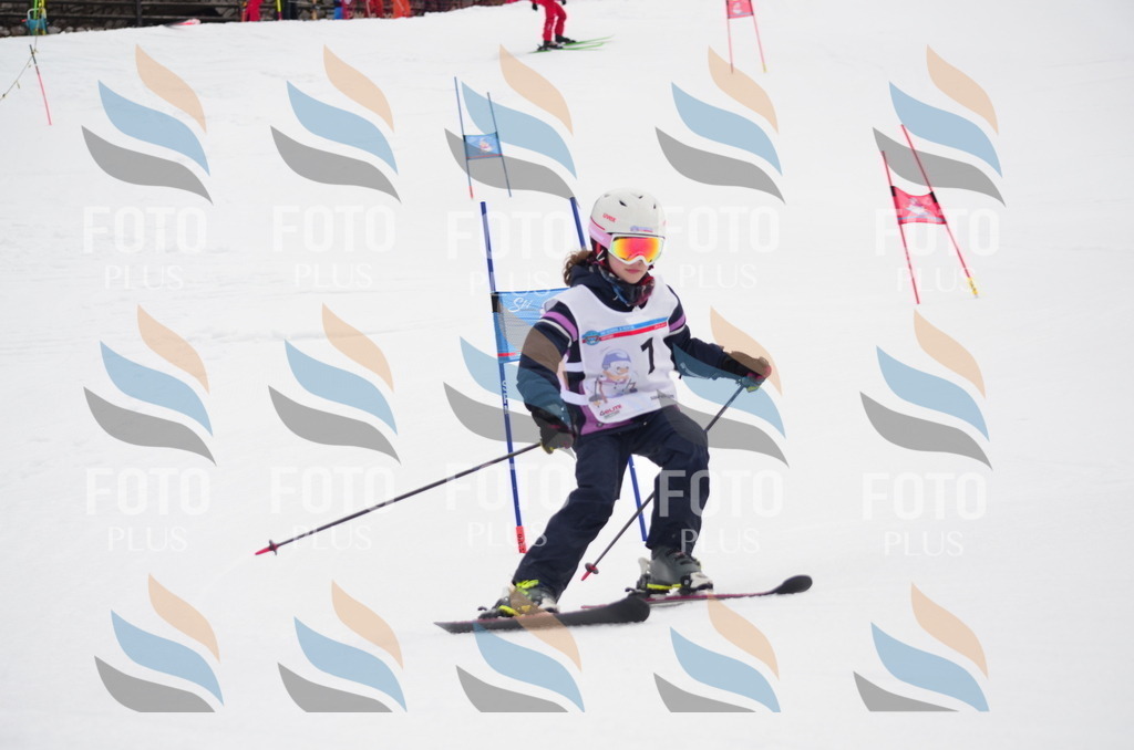 C0185 | holidayphoto