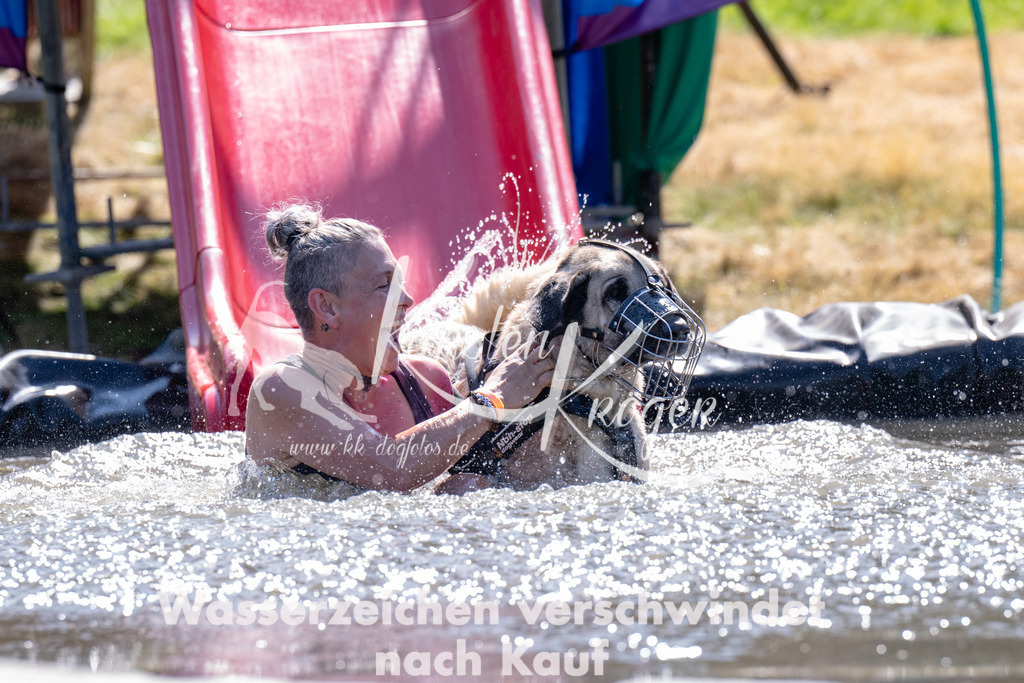 1401_ZZ92708 | kk-dogfotos