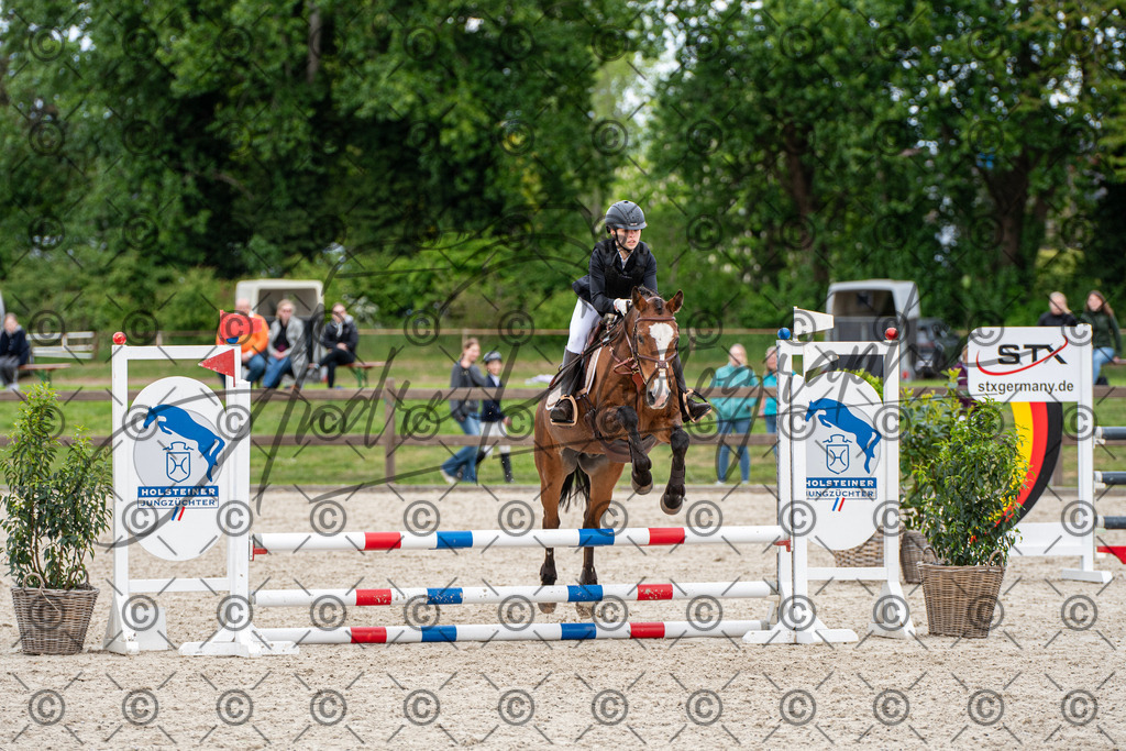 KPT_6385 | andre_photographic