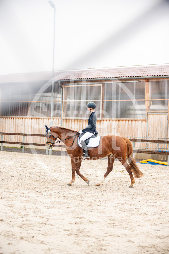 DSC_4175 | sattelsport - Realisiert mit Pictrs.com