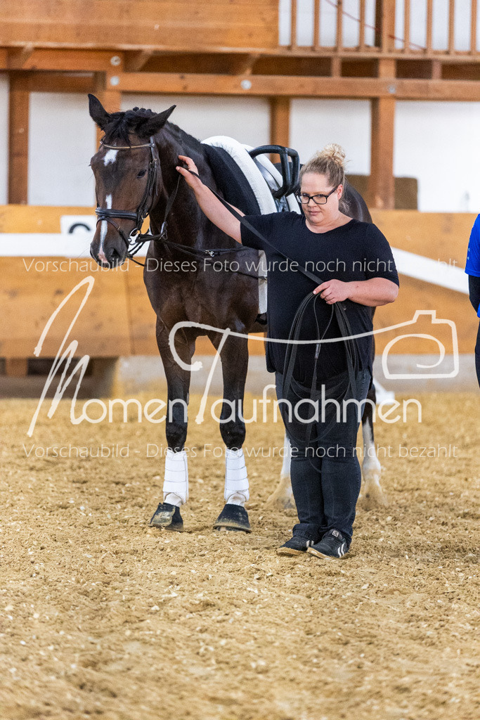 VTD-Voltigierpferde-052 | MomenTaufnahmen Pferdesportfotos