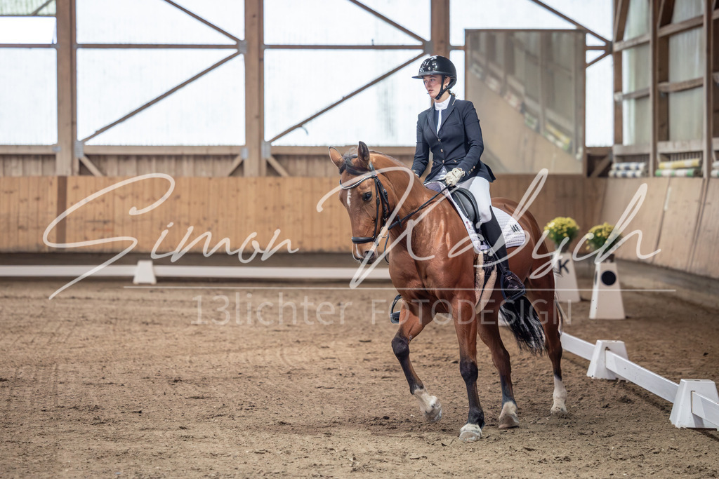 20251011-_3LI9420 | Tierfotografie Pferde, Hunde, Katzen, Haustiere.
Turnierfotografie Reitturniere, Reiten, Springreiten, Dressur in Hanau, dem Main-Kinzig-Kreis und dem Rhein-Main- Gebiet um Frankfurt
