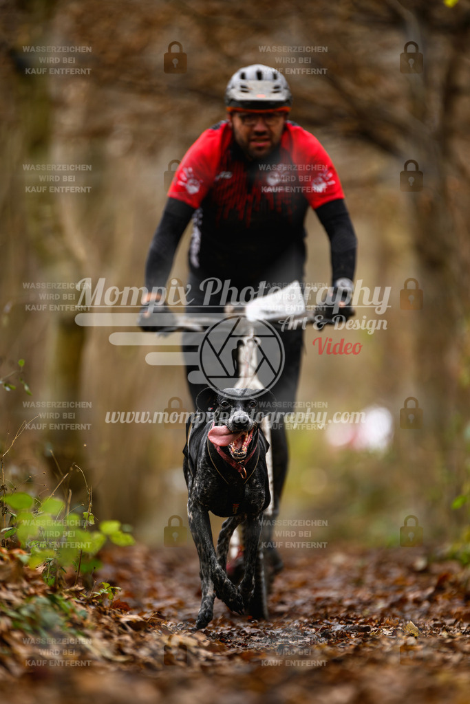 MompixPhotography_Eschau2024_DS1-14 | PayLife