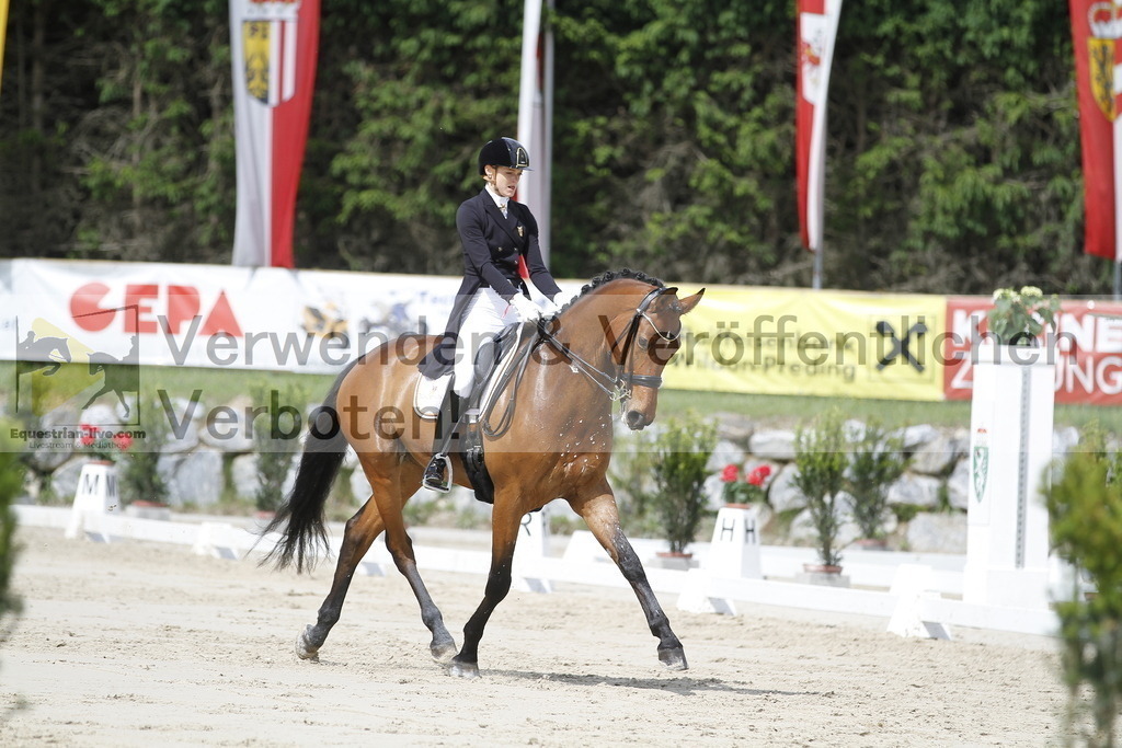 _MG_2662 | equestrian-live-com