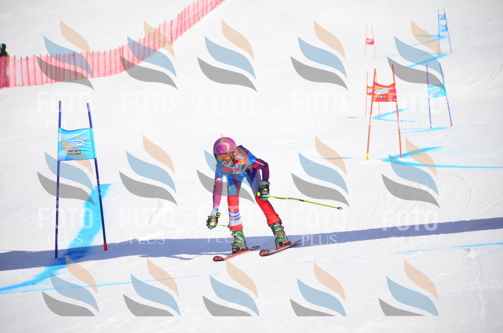 VR4_9157 | holidayphoto