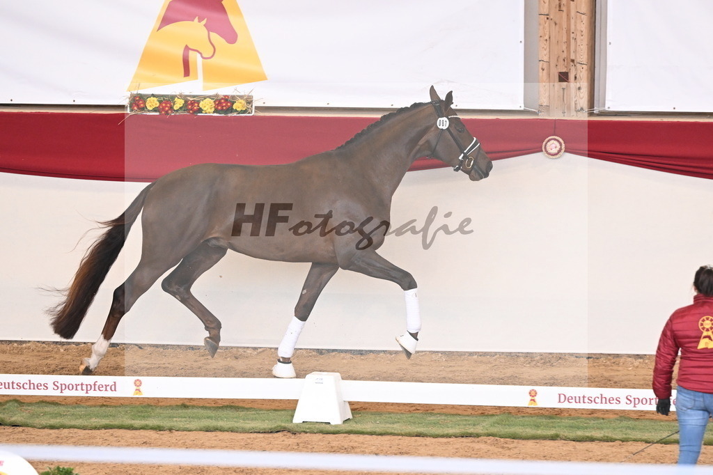 Kat.-Nr. 87 v. Vitalis_Kühnle_3261284 | hf-fotografie - Realisiert mit Pictrs.com