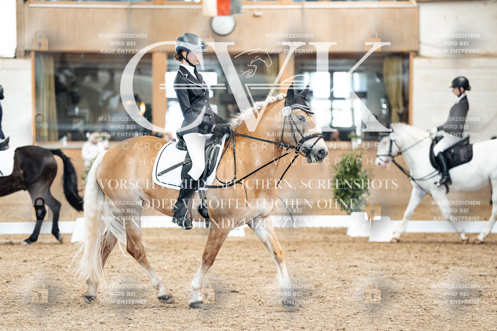 CK900299 | Turnierfotografie Pferdefotografie Trier Rheinland-Pfalz Pferdesport Reitsport Tierfotografie Sportfotografie Pferdevideo Pferdevideografie Equestrianvideography equestrianphotography  - Realisiert mit Pictrs.com