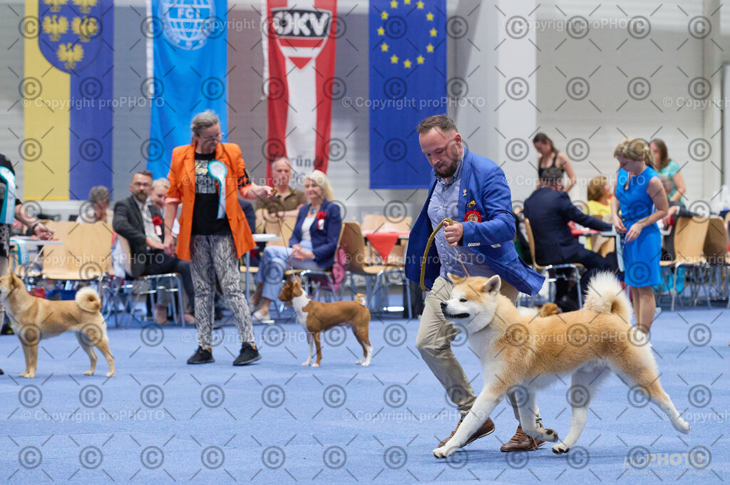 202406_ÖKV-IHA-Tulln24_DSC_3037 | proPHOTO - Realisiert mit Pictrs.com