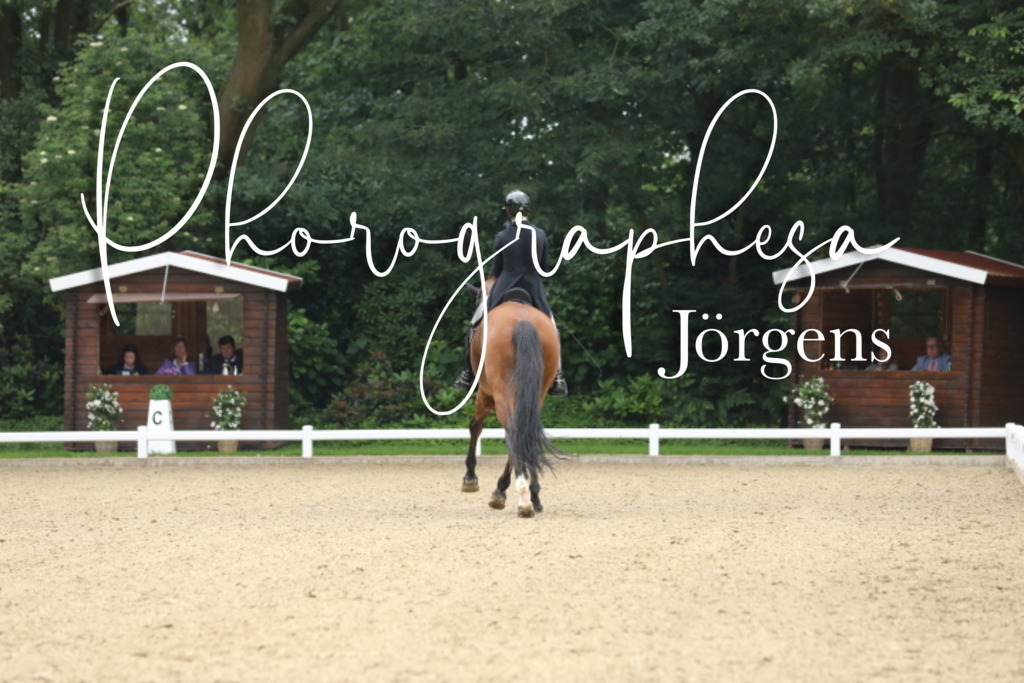 IMG_9973 | photographesa-joergens - Realisiert mit Pictrs.com